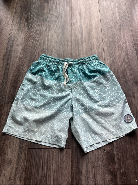 chubbies Other - Chubbies Swim Trunks